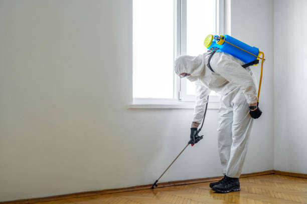 Best Affordable Pest Control Services  in Springville, NY