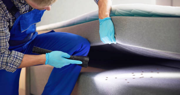 Pest Control Cost in Springville, NY