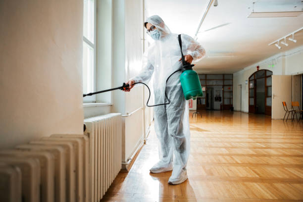 Best Pest Control Near Me in Springville, NY